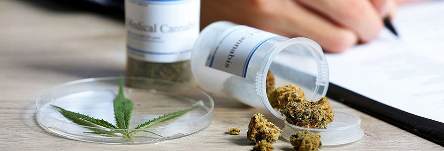 Se soigner avec le cannabis médical